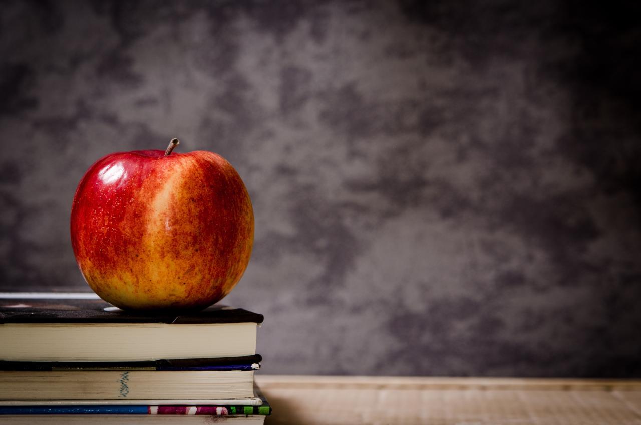 franquicias-educativas-apuesta-futuro-mexico